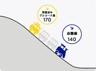 FreeStyleリブレは、間質液中のグルコース（ブドウ糖）の濃度を測定します。間質液とは細胞と細胞の間に存在する液体のことで、グルコースは血管を通って体中に運ばれ、毛細血管から間質液へ、さらに間質液から細胞に入って利用されます。