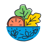Large Icon Image