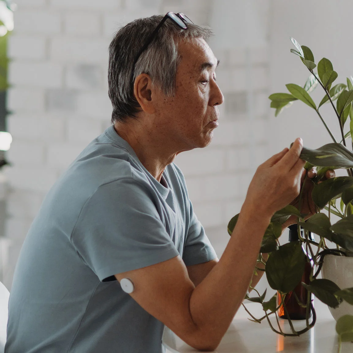 elderly man and his plant