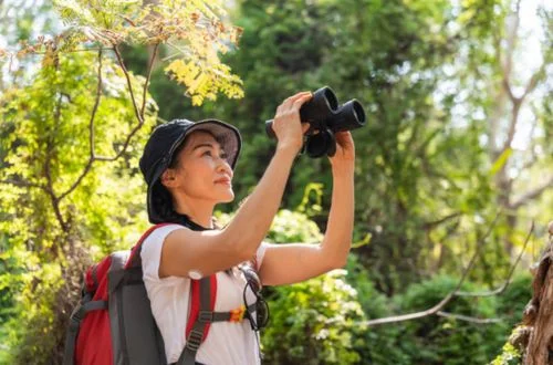 Woman in nature looking through binoculars
