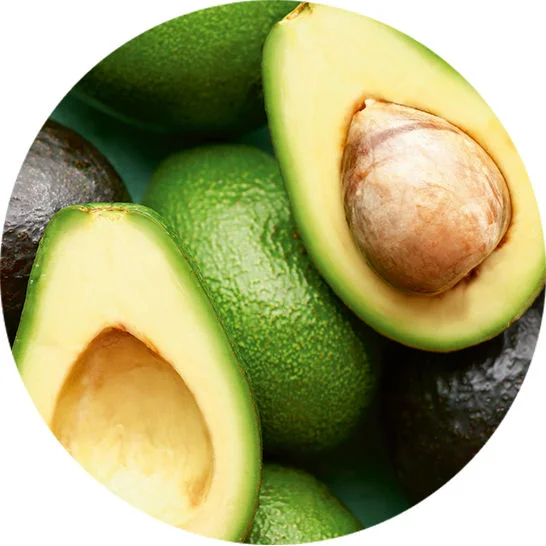 Avocado, a healthy fat used in building a balanced plate for diabetes-friendly meals. 