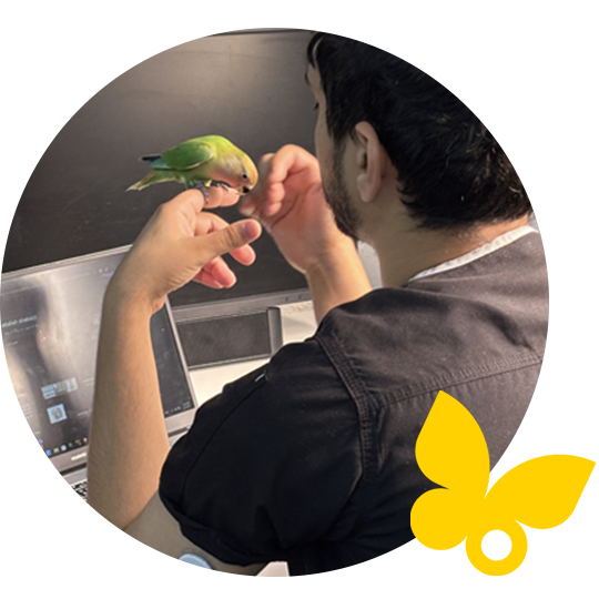 Man wearing FreeStyle Libre, holding a bird