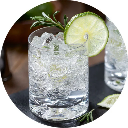 Sparkling lime drink with ice and a rosemary garnish in a clear glass.