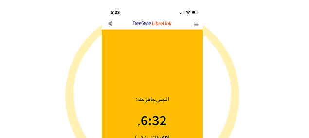 A yellow butterfly and text below it indicating that the FreeStyle Libre can be used after 60 minutes.