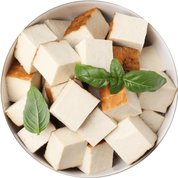Tofu como fuente de proteína vegetal saludable para incluir en tus comidas