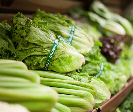 Fresh lettuce and celery displayed in a grocery store produce section with green vegetables in focus, non-starchy vegetables commonly used in diabetes-friendly meals