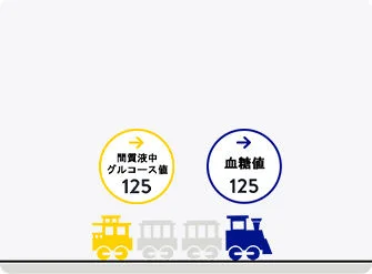 FreeStyleリブレは、間質液中のグルコース（ブドウ糖）の濃度を測定します。間質液とは細胞と細胞の間に存在する液体のことで、グルコースは血管を通って体中に運ばれ、毛細血管から間質液へ、さらに間質液から細胞に入って利用されます。