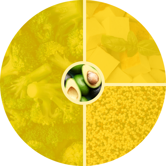 Healthy Fat