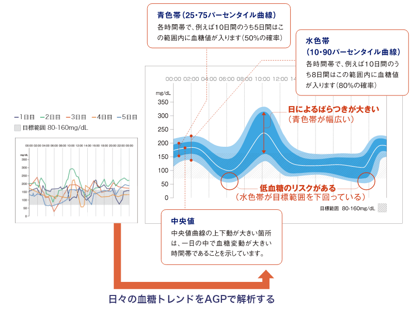 AGP（Ambulatory Glucose Profile）とは、連続して測定・記録された血糖値や間質液中グルコース値を集約し、その傾向を視覚的に把握しやすくしてくれる解析方法です。