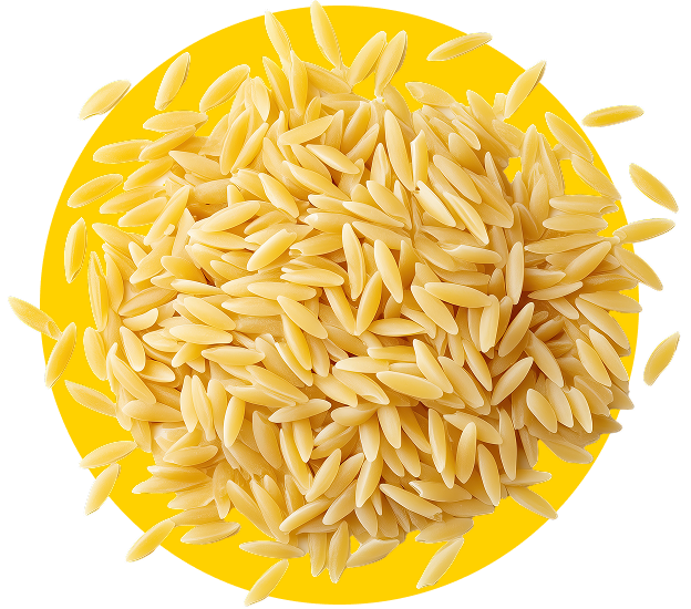 Portion of rice, a popular whole grain option for balanced diabetes-friendly meals. 