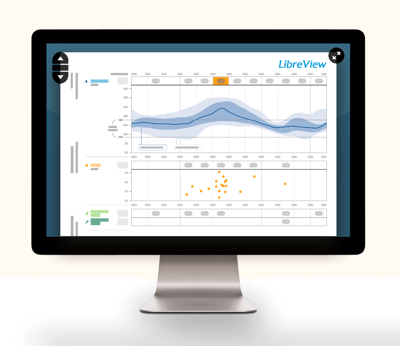 LibreView