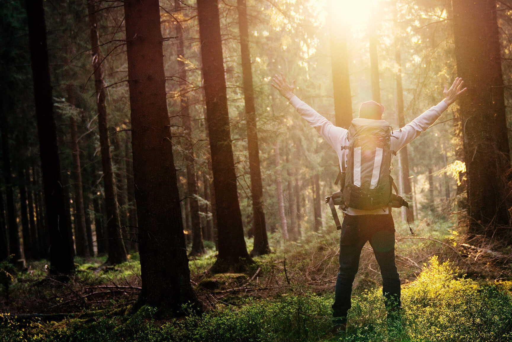 Mann in Jubelpose im Wald