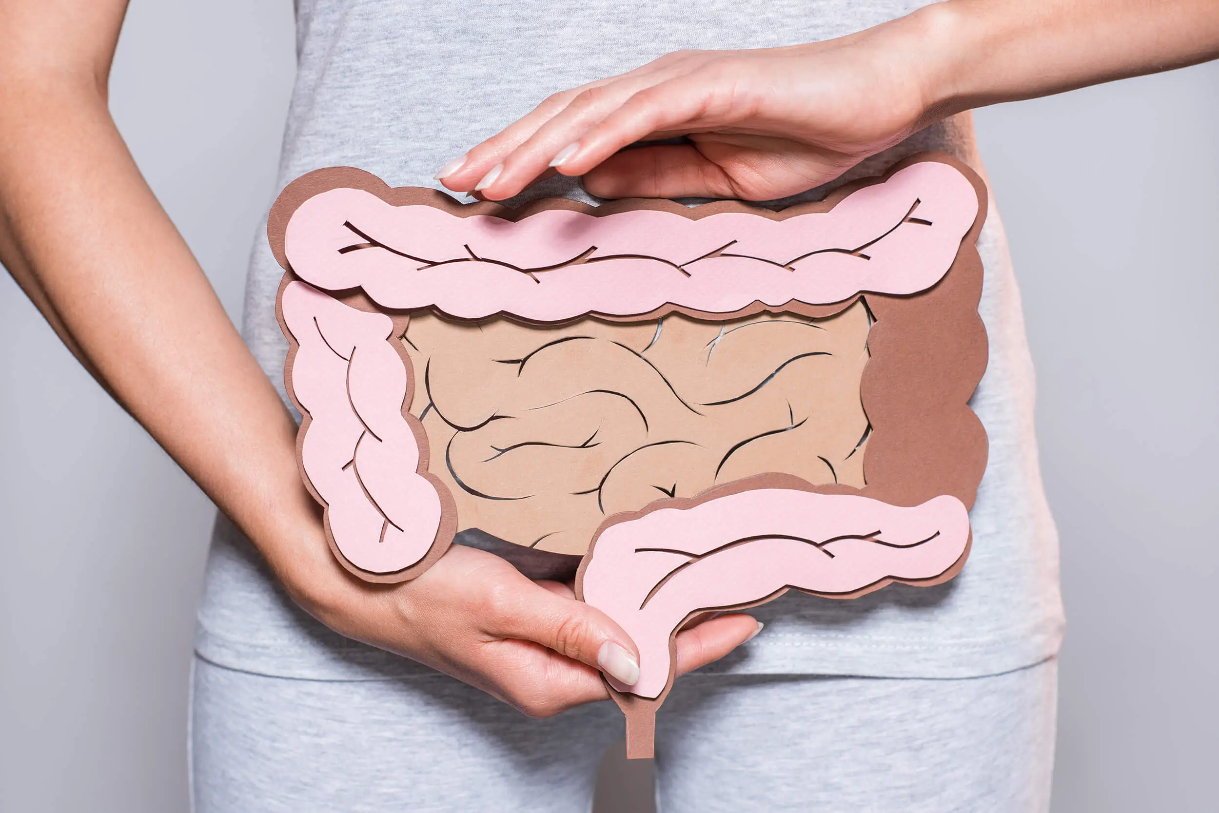 Illustration gesunder Darm mit stilisiertem Mikrobiom – für Darmflora, Darmgesundheit, Verdauung und Zusammenhang mit Diabetes Typ 2.