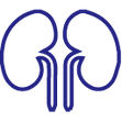 simple line drawing of two kidneys