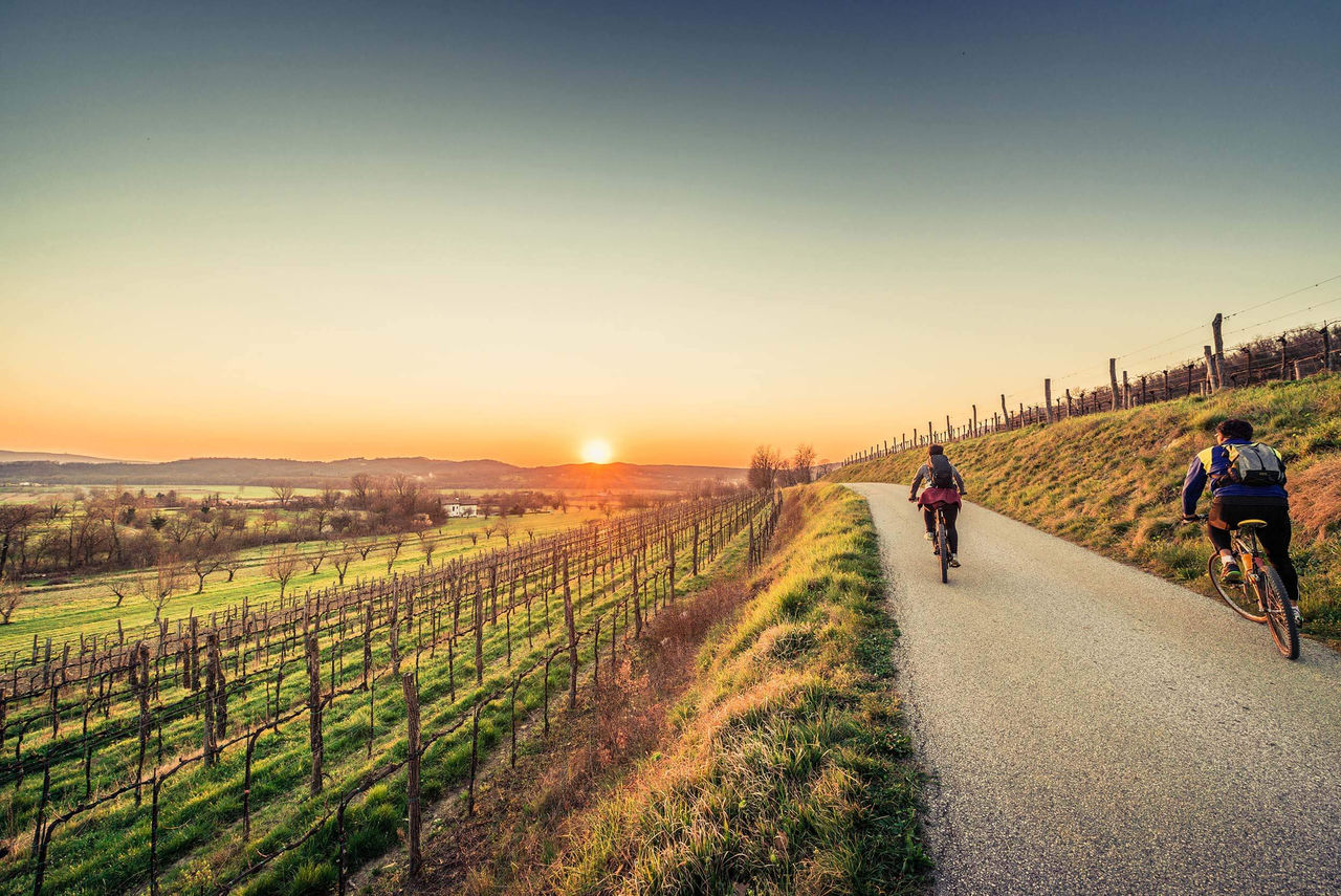 Auf dem Rad in die Ferien