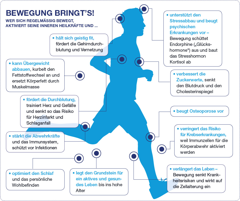 Chart mit Infos zu Bewegung