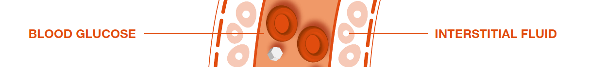 Blood glucose vs interstitial fluid