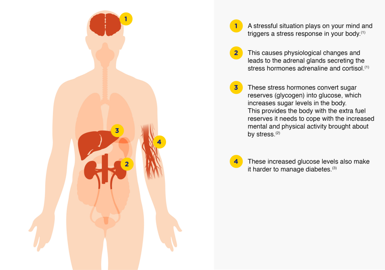 stress and glucose