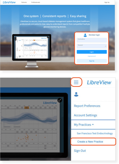 LibreView Screen