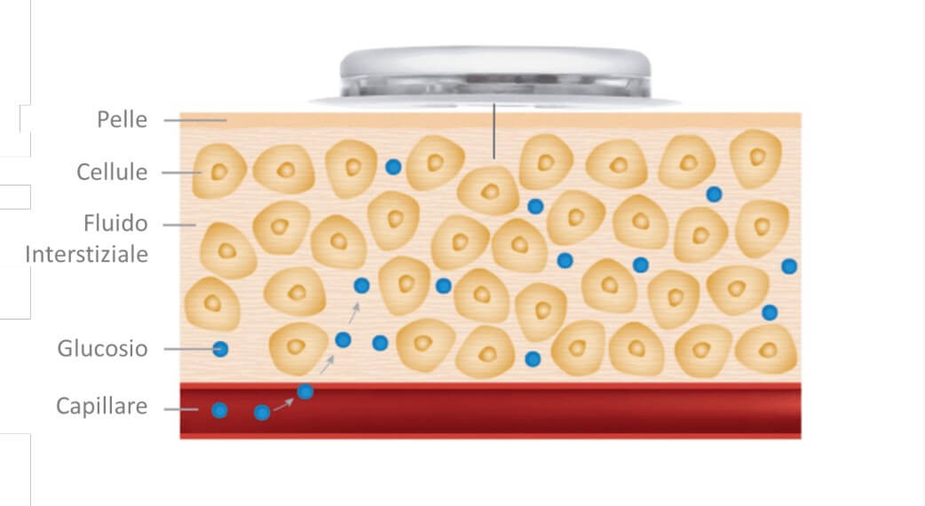 cell image