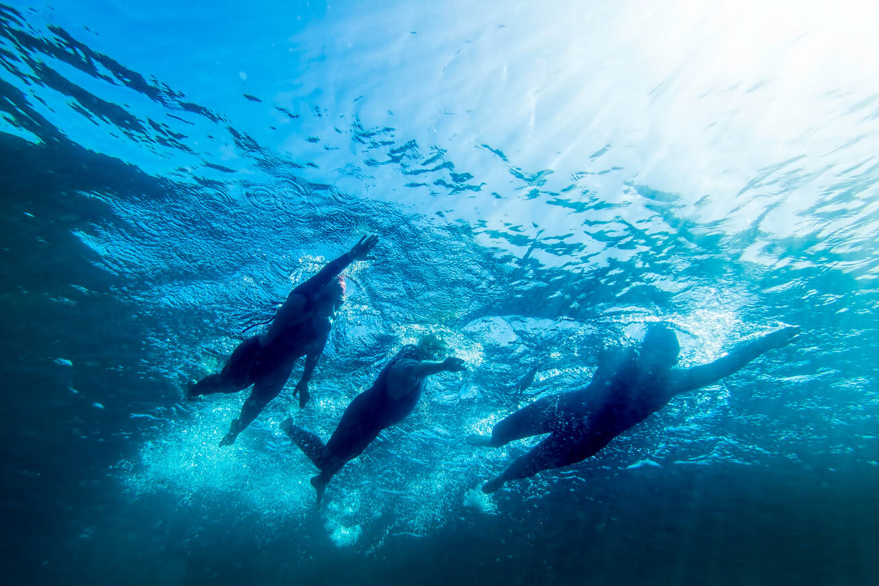 Three Athletes swimming underwater. View is from underneath.