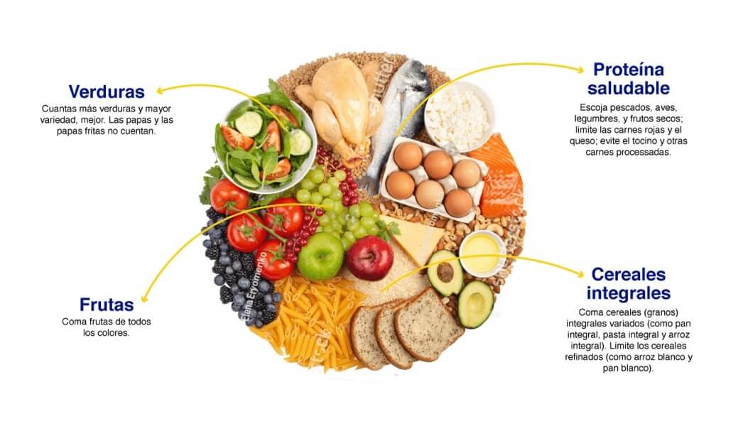 4 partes de comida sana con verduras, frutas, cereales y proteínas.