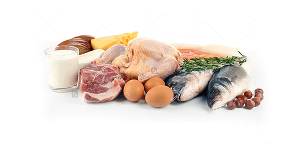 alimentos sin carbohidratos, ternera, pollo, pescado, frutos secos, huevos y leche.