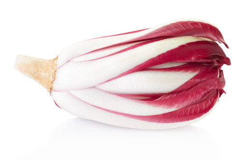 Radicchio, red Treviso chicory isolated on white, clipping path included