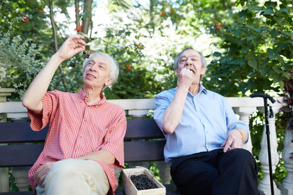 Czy Freestyle Libre sprawdza się w każdym wieku? Seniorzy o życiu z cukrzycą.