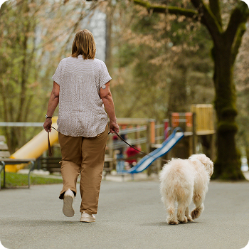 Jak połączyć FreeStyle LibreLink z LibreLinkUp