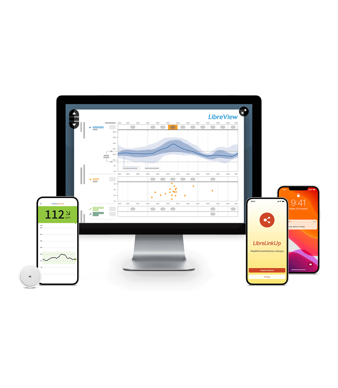 FreeStyle Libre System