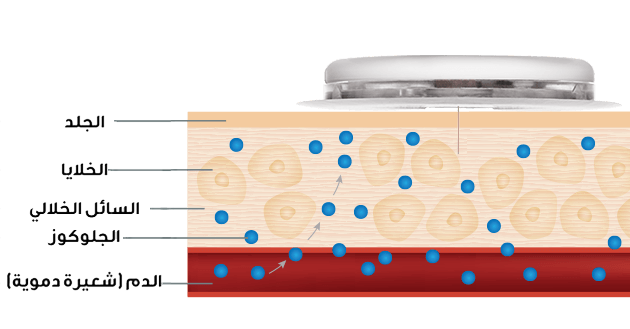 Interstitial fluid