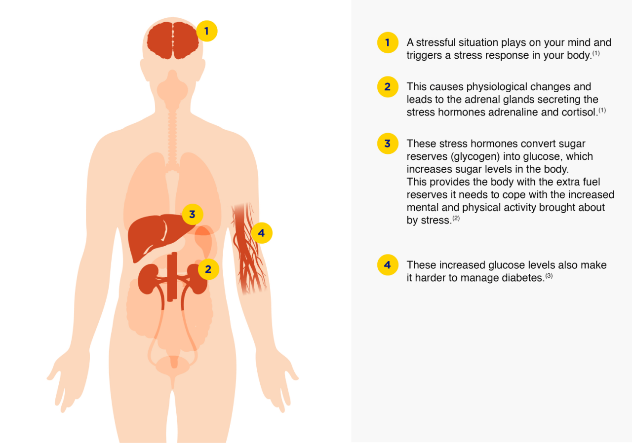 stress and glucose
