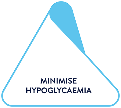 Triangle of Diabetes Care - Minimise Hypoglycaemia