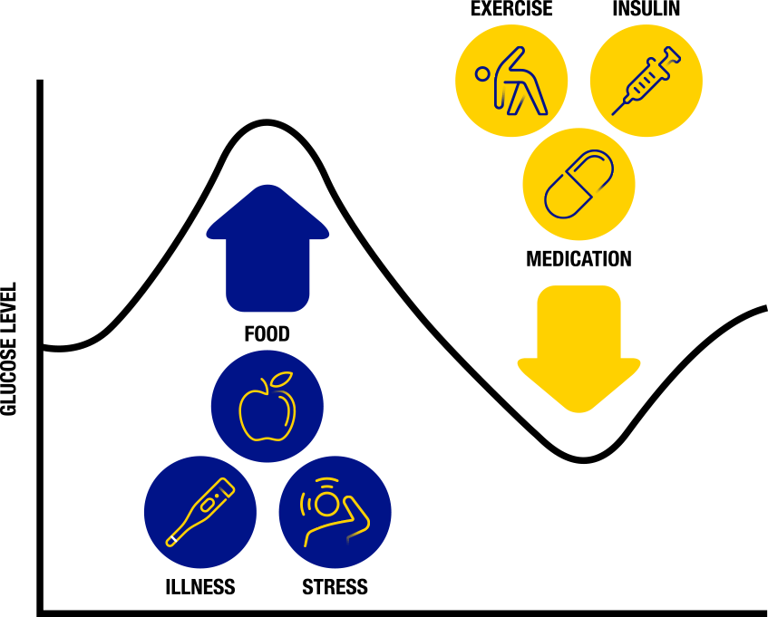 Benefits for type 2