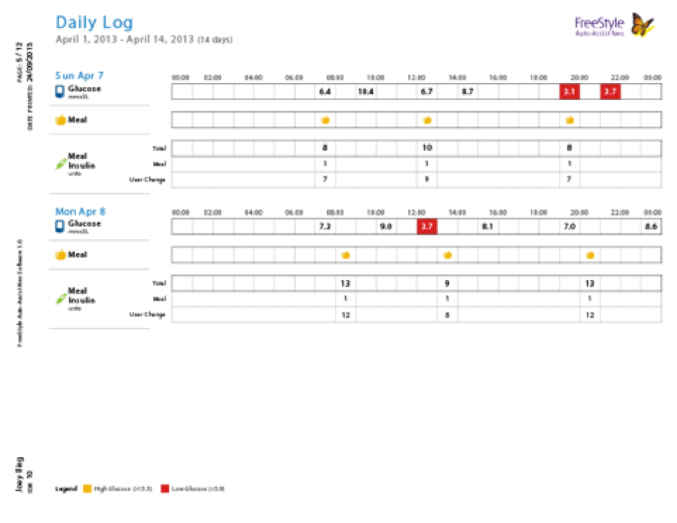 A screenshot of the FreeStyle Auto-Assist Software Daily Log Report