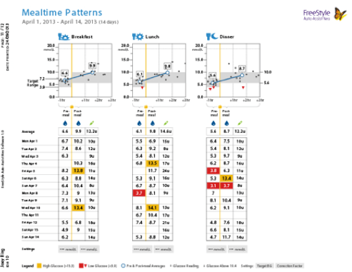 Screenshot of the Mealtime Patterns report